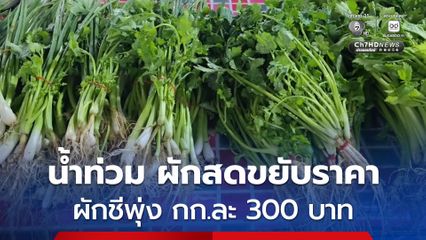 จังหวัดอุทัยธานี น้ำท่วม ทำผักสดขยับราคาเกือบทุกชนิด ล่าสุดผักชีพุ่งกิโลละ 300 บาท