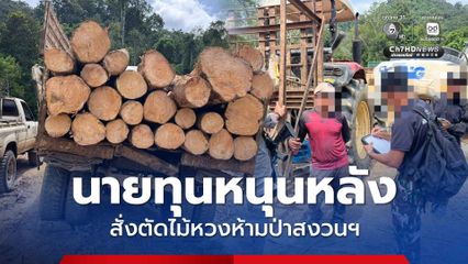จับ 4 มอดไม้ บุกรุกป่าสงวนฯ ตัดไม้หวงห้ามตามคำสั่งนายทุนใหญ่