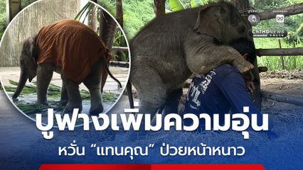 เร่งปูฟางเพิ่มความอุ่นให้พลายแทนคุณ หลังเชียงใหม่หนาวจัด