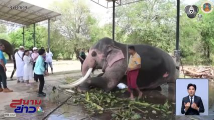 จ่อเยี่ยม พลายประตูผา-พลายศรีณรงค์ ก่อนขอกลับไทย