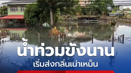 ลุ่มเจ้าพระยาเริ่มมีระดับลดลงอย่างต่อเนื่อง พื้นที่ท้ายเขื่อน ต.หาดอาษา อ.สรรพยา จ.ชัยนาท น้ำเปลี่ยนสี หลังท่วมขังนาน