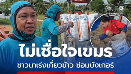 ชาวนาตามแนวชายแดนไม่เชื่อใจเขมร เร่งเกี่ยวข้าว-ซ่อมบังเกอร์