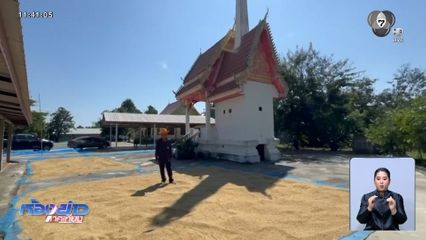 ไอเดียดี ตากข้าวข้างเมรุ