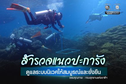 สำรวจแนวปะการัง ดูแลระบบนิเวศให้สมบูรณ์และยั่งยืน