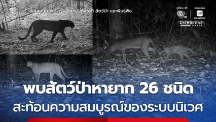 อุทยานแห่งชาติแก่งกระจาน พบสัตว์ป่าหายาก 26 ชนิด สะท้อนความสมบูรณ์ของระบบนิเวศ