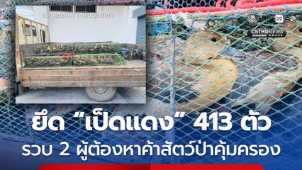 รวบ 2 ผู้ต้องหา ค้า “เป็ดแดง” โดยไม่มีใบอนุญาต ยึดได้กว่า 400 ตัว