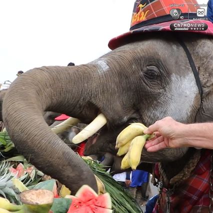 นักท่องเที่ยวตื่นตาตื่นใจ โต๊ะจีนช้างยาวกว่า 400 เมตร