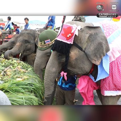 นักท่องเที่ยวตื่นตาตื่นใจ โต๊ะจีนช้างยาวกว่า 400 เมตร