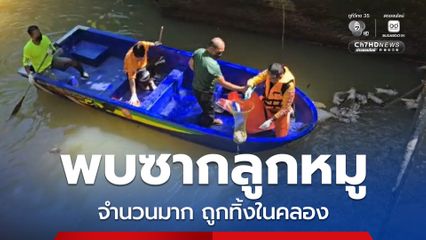 พบซากลูกหมูจำนวนมาก ถูกนำมาทิ้งลงคลองผลิตน้ำประปาหมู่บ้าน และส่งกลิ่นเน่าเหม็น