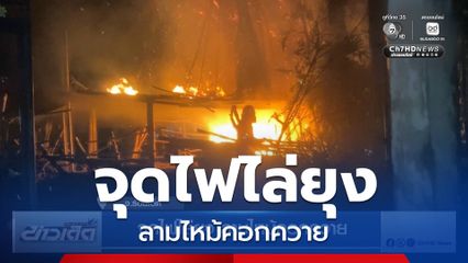 จุดไฟไล่ยุง ลามไหม้คอกควาย