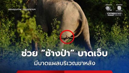 เจ้าหน้าที่ อช.กุยบุรี เข้าช่วยเหลือ “ช้างป่า” ได้รับบาดเจ็บ มีแผลที่ขาหลัง และมีอุจจาระเหลว