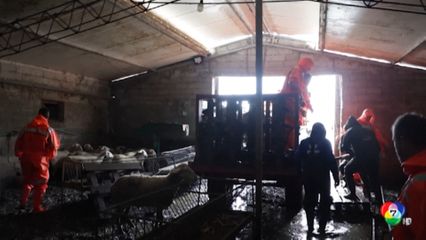 น้ำท่วมแอลเบเนีย สัตว์เลี้ยงตายนับพันตัว เพราะหนีไม่ทัน