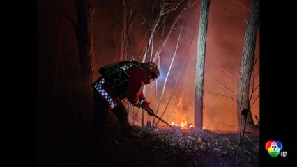 เจ้าหน้าที่ดับเพลิงควบคุมไฟป่าเกาหลีใต้ได้แล้ว