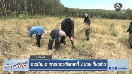 ชาวบ้านเฮ ทหารกองทัพภาคที่ 2 ช่วยเกี่ยวข้าว