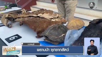 พรานป่าซุกซากสัตว์ เพื่อนบ้านแก้ต่างของกลางน่าจะเพื่อนฝากไว้