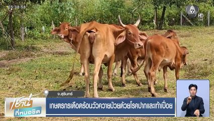 เกษตรกรเดือดร้อนวัวควายป่วยด้วยโรคปากและเท้าเปื่อย