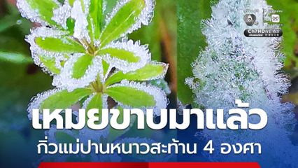 เหมยขาบมาแล้ว กิ่วแม่ปานหนาวสะท้าน 4 องศา