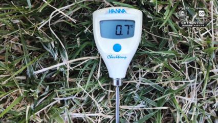 เหมยขาบมาแล้ว กิ่วแม่ปานหนาวสะท้าน 4 องศา