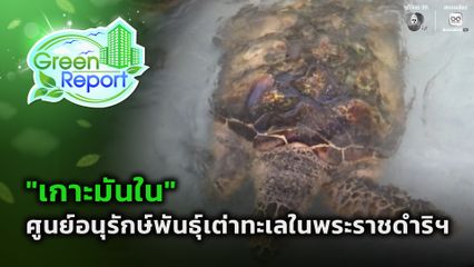 Green Report : เกาะมันใน ศูนย์อนุรักษ์พันธุ์เต่าทะเลในพระราชดำริฯ