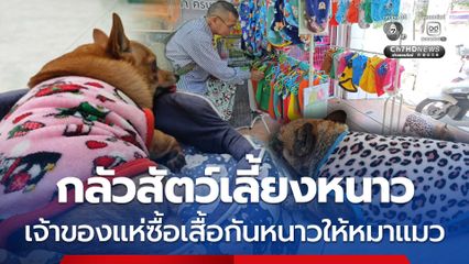 กลัวสัตว์เลี้ยงหนาว เจ้าของแห่ซื้อเสื้อกันหนาวให้หมาแมว