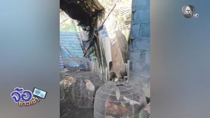 บวชเรียนมาไม่ช่วยอะไร ยังริเป็นหัวขโมย