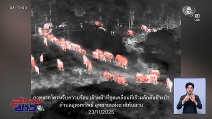 ระทึก โขลงช้างป่ากว่า 100 ตัว บุกกินพืชไร่