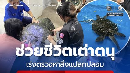 ศวอบ. ช่วยชีวิตเต่าตนุ เร่งตรวจหาสิ่งแปลกปลอม หลังพบความผิดปกติในระบบทางเดินอาหาร