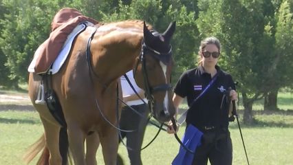 สมเด็จพระเจ้าลูกเธอ เจ้าฟ้าสิริวัณณวรี นารีรัตนราชกัญญา ทรงนำนักกีฬาขี่ม้าทีมชาติไทย คว้าเหรียญทอง ในการแข่งขันขี่ม้า รายการ "FEI Asian Championships 2025" ประเภทศิลปะบังคับม้า