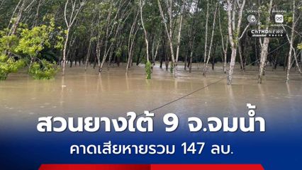 สวนยางใต้ 9 จังหวัด จมน้ำพื้นที่กว่า 1 ล้านไร่ คาดเสียหายรวม 147 ล้านบาท