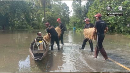 กรมอุทยานฯ ส่ง​ จนท.สถานีควบคุมไฟป่าทะเลน้อย ​ช่วยสัตว์เลี้ยงขาดแคลนอาหารจากภัยน้ำท่วม​