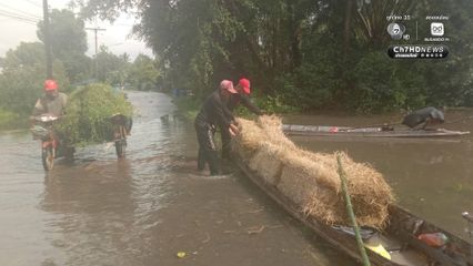 กรมอุทยานฯ ส่ง​ จนท.สถานีควบคุมไฟป่าทะเลน้อย ​ช่วยสัตว์เลี้ยงขาดแคลนอาหารจากภัยน้ำท่วม​