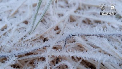 หนาวสะท้าน ดอยอินทนนท์ 2 องศาฯ ยอดหญ้าติดลบ 2.3 องศาฯ นักท่องเที่ยวแห่ชมเหมยขาบ