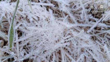 หนาวสะท้าน ดอยอินทนนท์ 2 องศาฯ ยอดหญ้าติดลบ 2.3 องศาฯ นักท่องเที่ยวแห่ชมเหมยขาบ