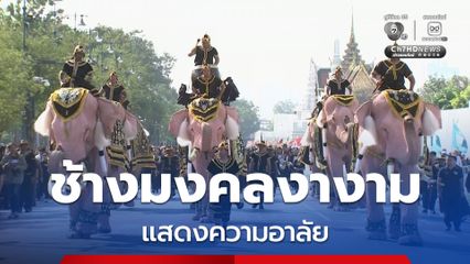 ช้างมงคลงางาม แสดงความอาลัย เพื่อถวายพระเกียรติสูงสุดแด่ สมเด็จพระนางเจ้าสิริกิติ์ พระบรมราชินีนาถ พระบรมราชชนนีพันปีหลวง