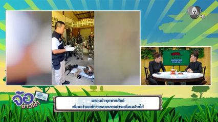 พรานป่าซุกซากสัตว์ เพื่อนบ้านแก้ต่างของกลางน่าจะเพื่อนฝากไว้