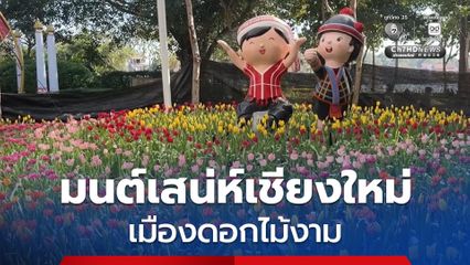 ดอกทิวลิปลงแปลงพร้อมเปิดค่ำนี้มนต์เสน่ห์เชียงใหม่เมืองดอกไม้งาม