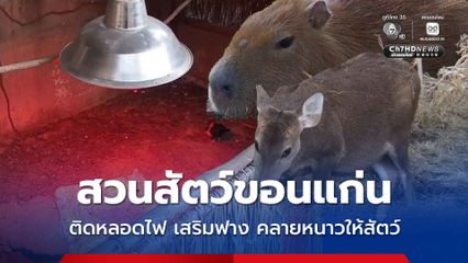 สวนสัตว์ขอนแก่น ติดหลอดไฟ เพิ่มฟางแห้งกว่า 200 ก้อน ช่วยคลายหนาวให้สัตว์ในช่วงฤดูหนาว