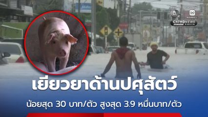 เปิดหลักเกณฑ์ เยียวยาด้านปศุสัตว์ น้อยสุด 30 บาท/ตัว สูงสุด 3.9 หมื่นบาท/ตัว