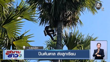 ปีนต้นตาลเก็บน้ำตาลสดขาย ส่งเสียลูกเรียนจนจบปริญญา