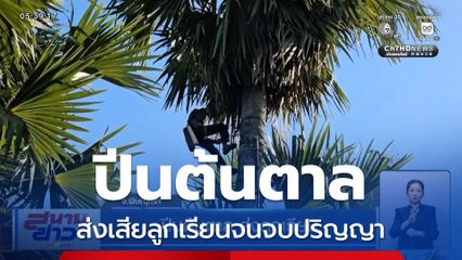 ปีนต้นตาลเก็บน้ำตาลสดขาย ส่งเสียลูกเรียนจนจบปริญญา