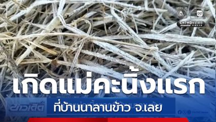 เกิดแม่คะนิ้งแรกที่บ้านนาลานข้าว จ.เลย