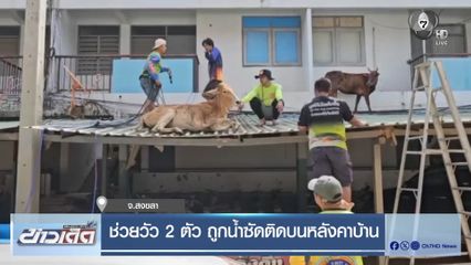 ช่วยวัว 2 ตัว ถูกน้ำซัดติดบนหลังคาบ้าน