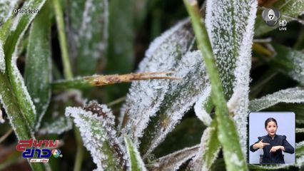 หนาวสุดในรอบ 10 ปี จ.เชียงราย