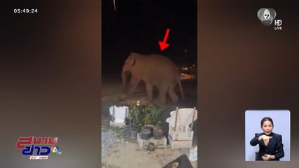 เบรกขากาง ! ข้ามถนนจุดเสี่ยง