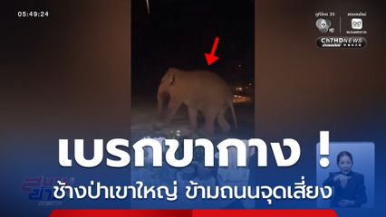 เบรกขากาง ! ข้ามถนนจุดเสี่ยง