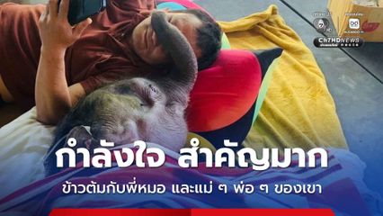 ลูกช้างข้าวต้มอาการดีขึ้น ไม่พบภาวะน้ำตาลตก