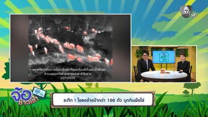 ระทึก ! โขลงช้างป่ากว่า 100 ตัว บุกกินพืชไร่