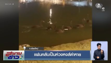 แฟนคลับเป็นห่วงหงส์ดำหาย