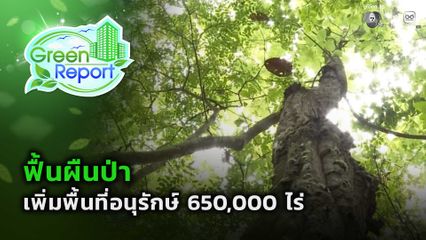Green Report : ฟื้นผืนป่า เพิ่มพื้นที่อนุรักษ์ 650,000 ไร่