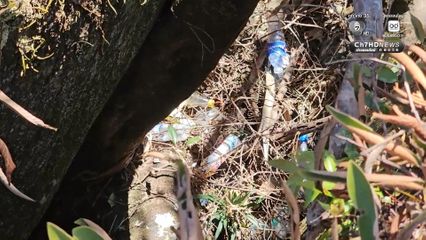 โรยตัวเก็บขยะ อุทยานแห่งชาติภูหินร่องกล้า